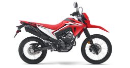 HONDA XR 300